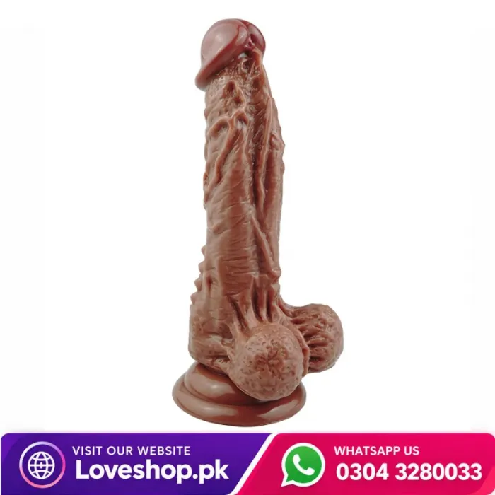 Cock Of Old Men In Pakistan