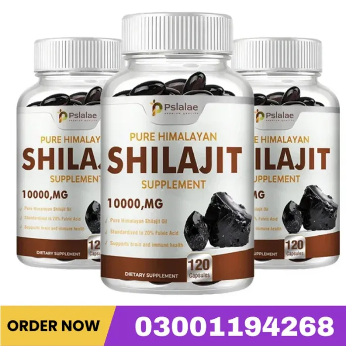 Shilajit – Nutrient Absorption & Energy Support Price In Pakistan