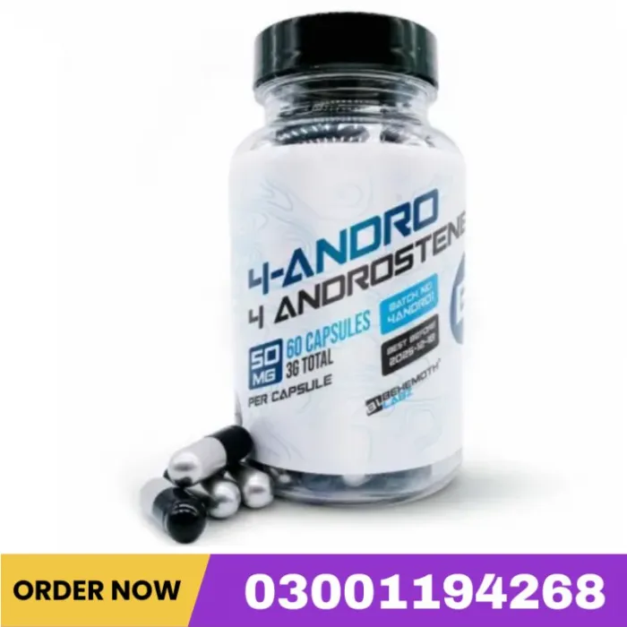 Behemoth Labz 4-Andro 50mg 60 Capsules Price In Pakistan