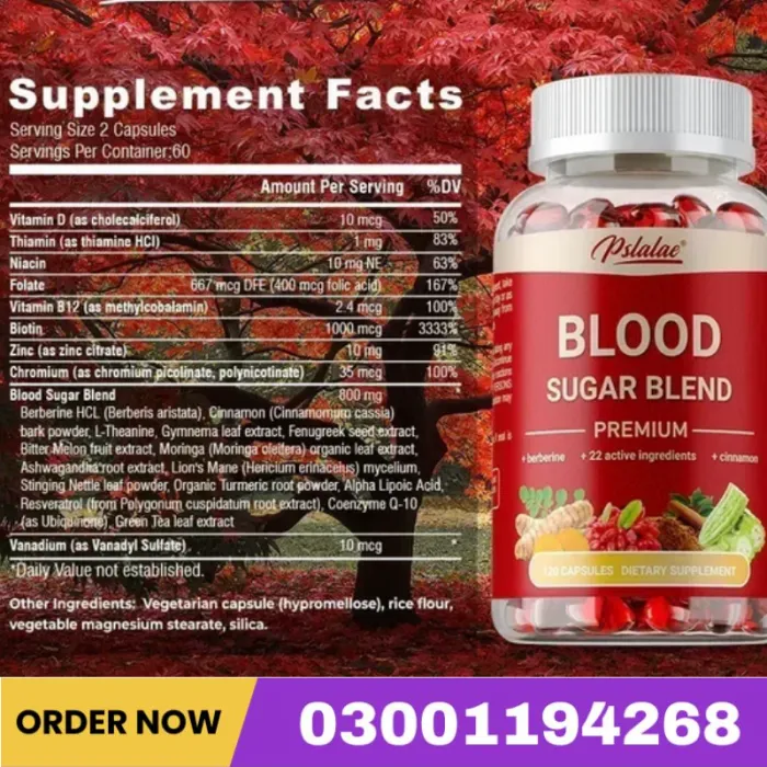 Blood Sugar Blend – Support Balanced Sugar & Energy Price In Pakistan