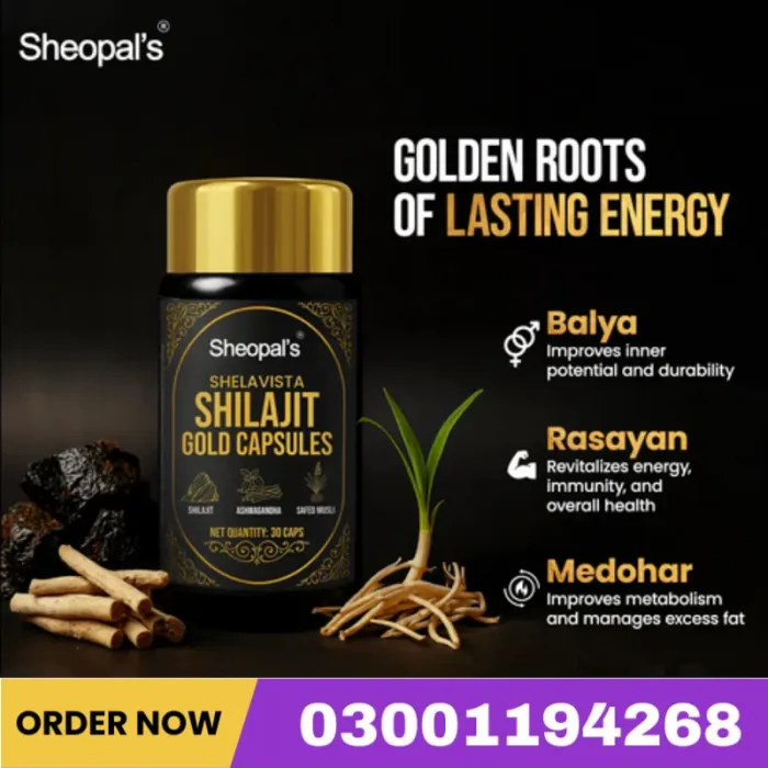 Shelavista Shilajit Gold Capsule Price In Pakistan