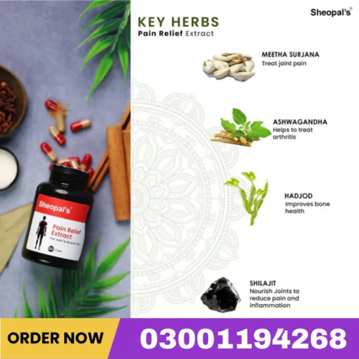 Sheopal's Pain Relief Capsule Price In Pakistan