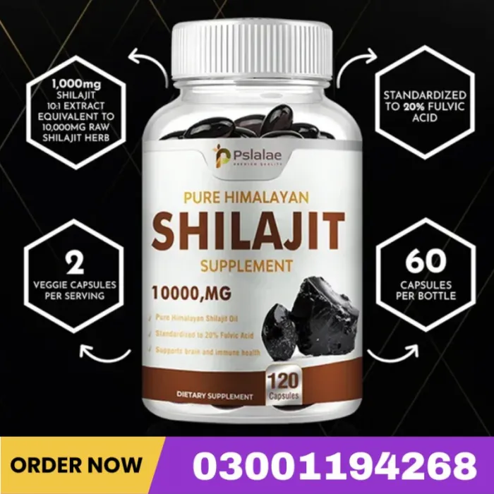 Shilajit – Nutrient Absorption & Energy Support Price In Pakistan