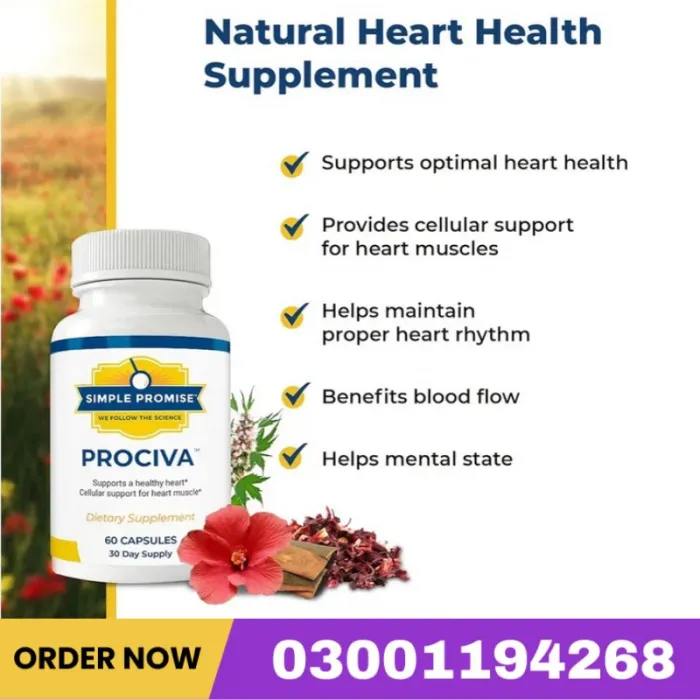Simple Promise Prociva Arjuna Bark Extract Capsules Price In Pakistan